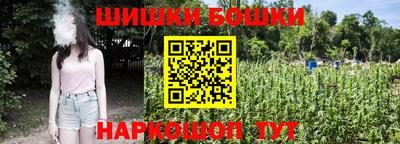 мет Дмитров